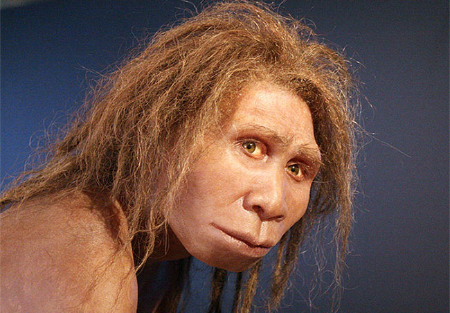 Picture 4 of How did the brothers of mankind disappear before the dawn of civilization?