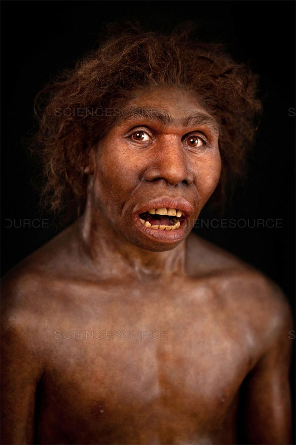 Picture 5 of How did the brothers of mankind disappear before the dawn of civilization?