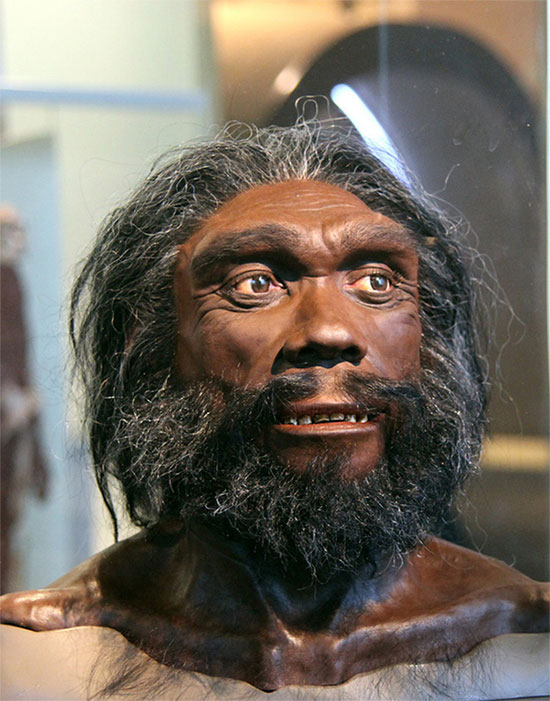 Picture 6 of How did the brothers of mankind disappear before the dawn of civilization?