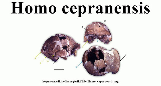 Picture 8 of How did the brothers of mankind disappear before the dawn of civilization?