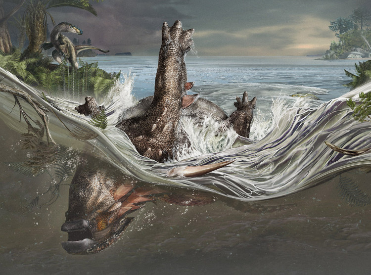 Picture 1 of How did the fossil dragon sleep for 112 million years?