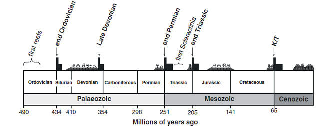 Picture 2 of How did the world recover after the extinction?