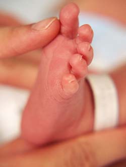 Picture 2 of How do babies perceive the world?