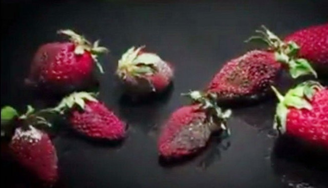 Picture 1 of How do bacteria damage food?