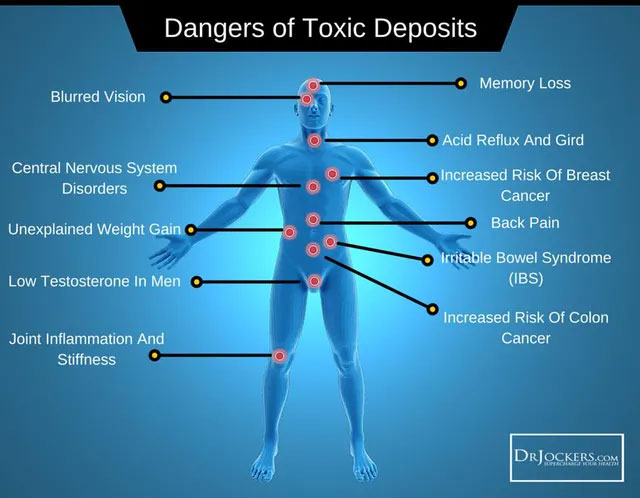 Picture 1 of How do 'detox' foods work?