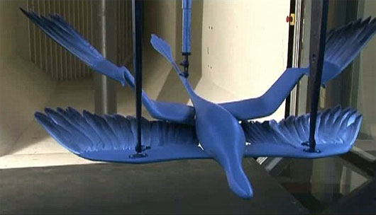 Picture 1 of How do dinosaur flights take place?