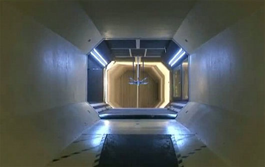 Picture 2 of How do dinosaur flights take place?