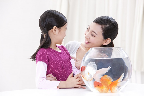 Picture 4 of How do Jews teach children?