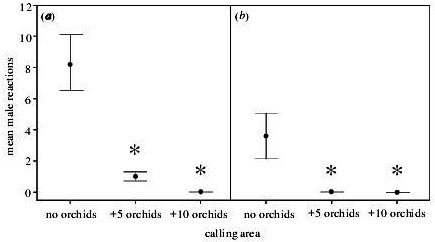 Picture 2 of How do orchids affect their pollinators?