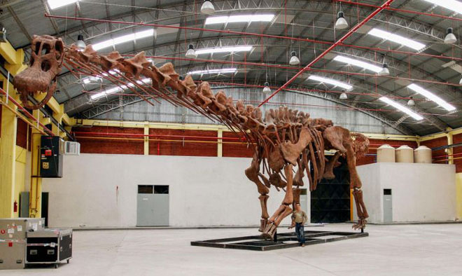 Picture 4 of How do paleontologists calculate the weight of a dinosaur?