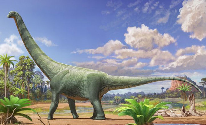 Picture 5 of How do paleontologists calculate the weight of a dinosaur?