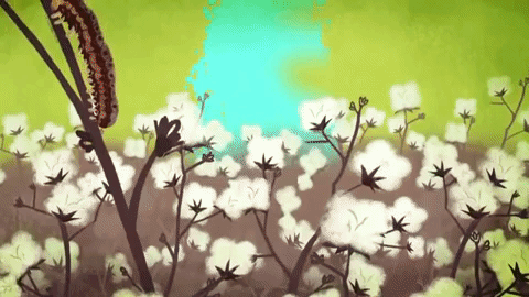 Picture 10 of How do plants protect themselves?