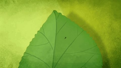 Picture 8 of How do plants protect themselves?