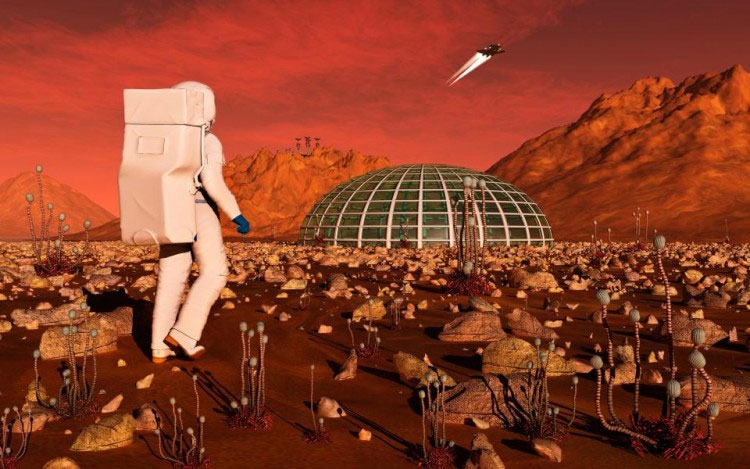 Picture 2 of How do the births on Mars lead to terrible consequences?