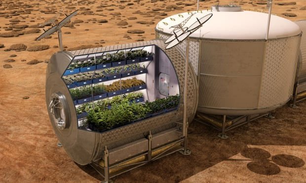 How do vegetables grown in space taste? images 5