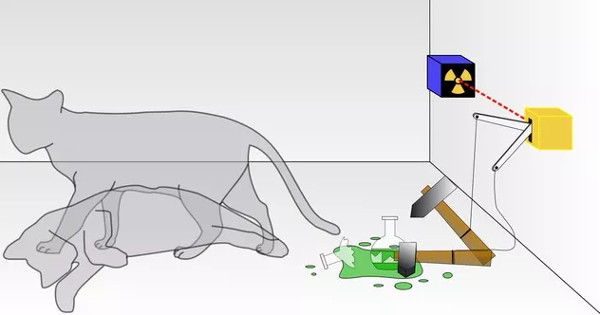 Picture 2 of How do we know if we live in 'multiverse'?