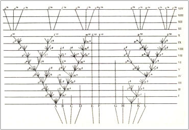 Picture 1 of How do you understand the evolutionary tree (Part I)