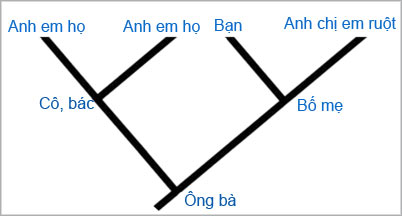 Picture 4 of How do you understand the evolutionary tree (Part I)