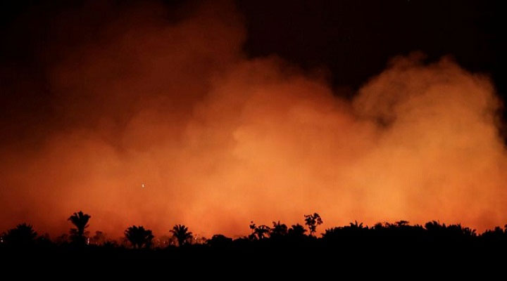 Picture 1 of How does Amazon forest fire affect human health?