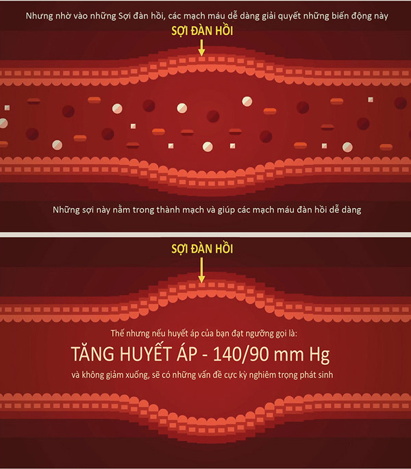 Picture 10 of How does blood pressure work?