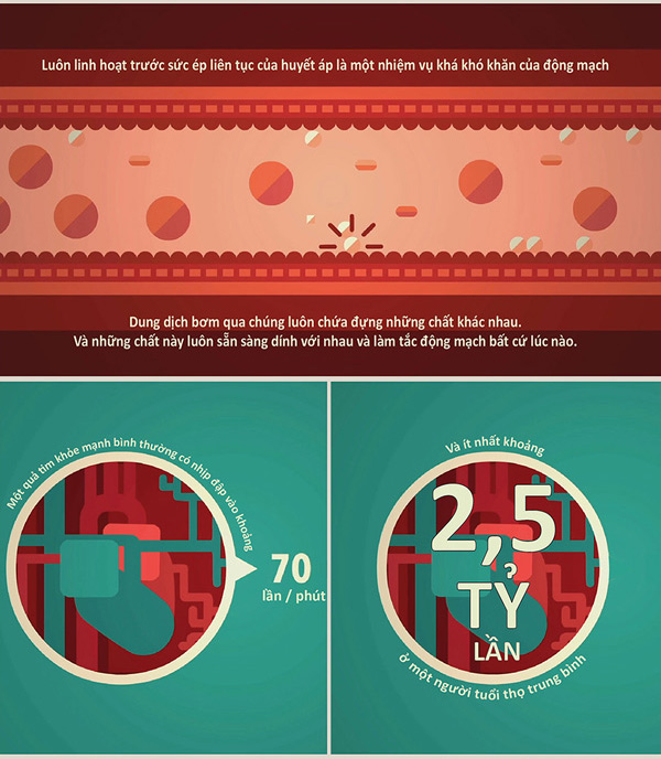 Picture 14 of How does blood pressure work?
