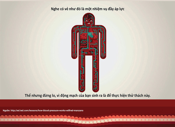 Picture 15 of How does blood pressure work?