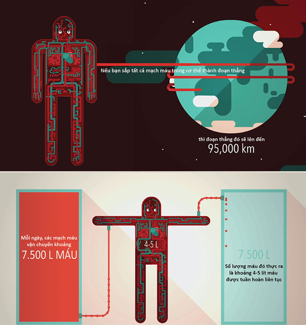 Picture 2 of How does blood pressure work?
