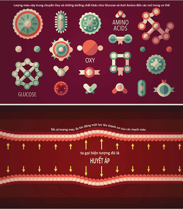 Picture 3 of How does blood pressure work?