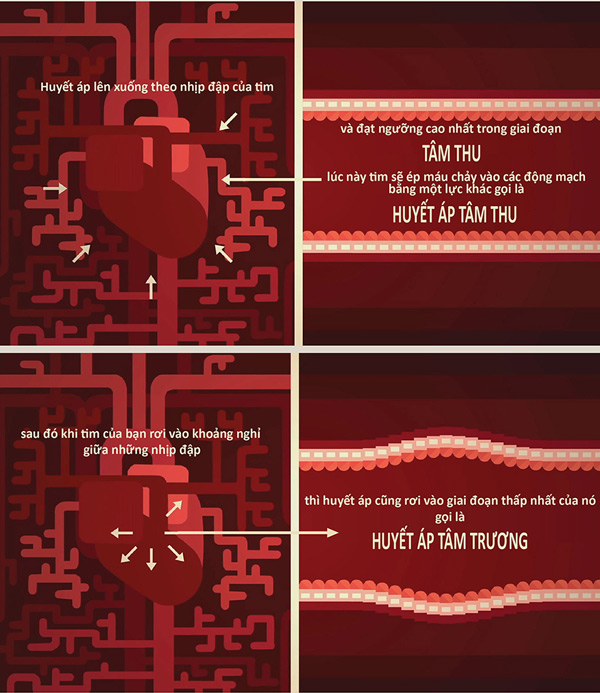 Picture 4 of How does blood pressure work?