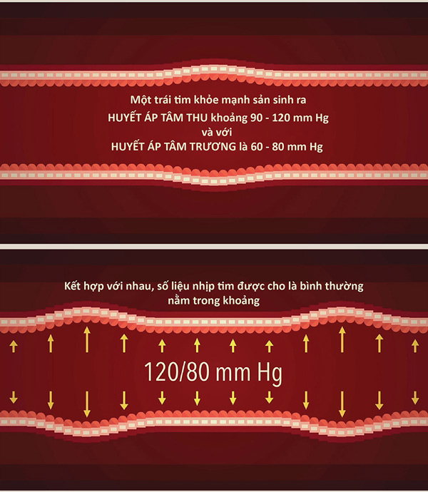 Picture 5 of How does blood pressure work?