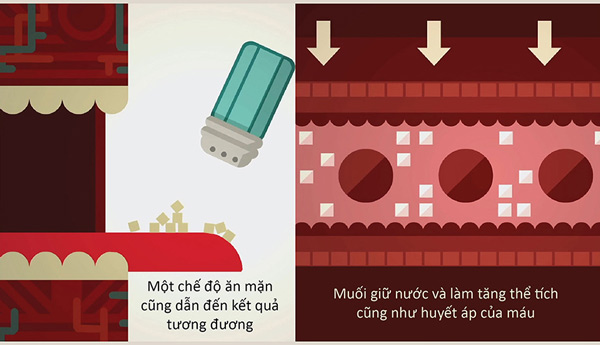 Picture 8 of How does blood pressure work?