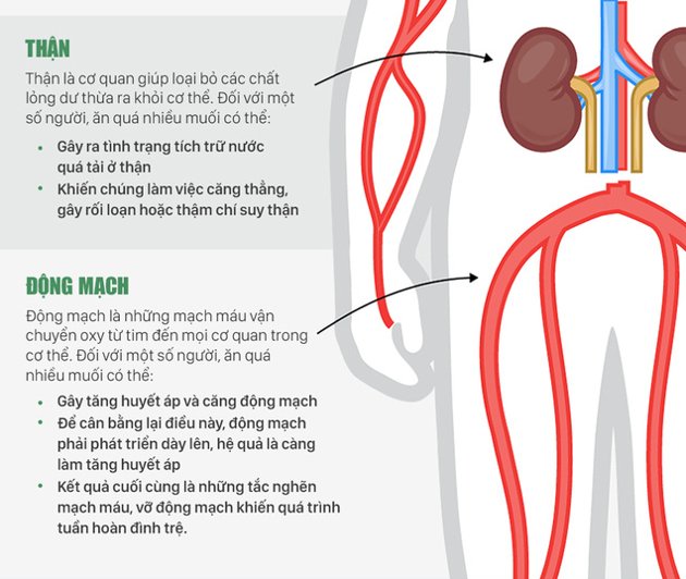 Picture 3 of How does eating too much salt harm your body?