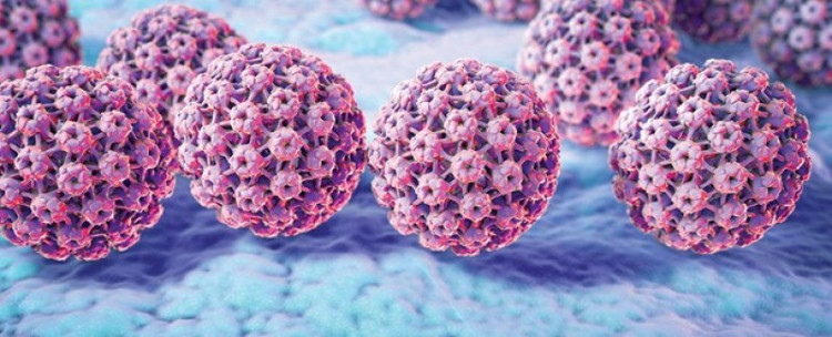 Picture 1 of How does HPV virus silently destroy women's health?
