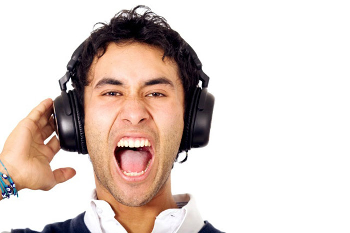 Picture 3 of How does human ears cope with noise?