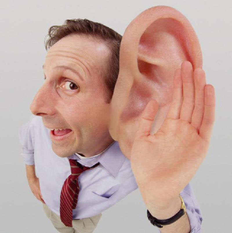 Picture 4 of How does human ears cope with noise?