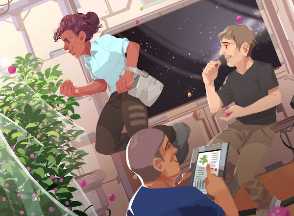 Picture 4 of How does NASA solve food problems in space?