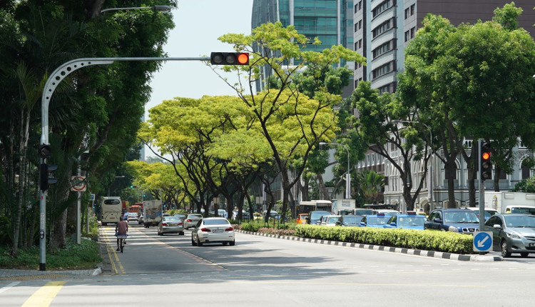 Picture 3 of How does Prime Minister Lee Kuan Yew bring Singapore to