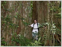 Picture 2 of How does soil nutrients affect tropical forests?