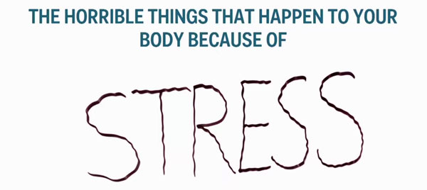 Picture 1 of How does stress cause harm to the human body?