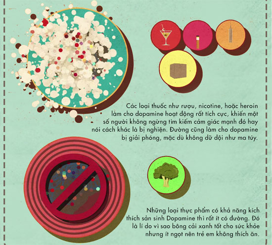 Picture 7 of How does sugar affect the brain?