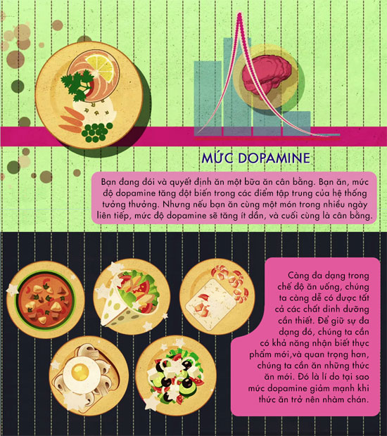 Picture 8 of How does sugar affect the brain?