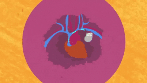 Picture 6 of How does the body react to foreign objects?