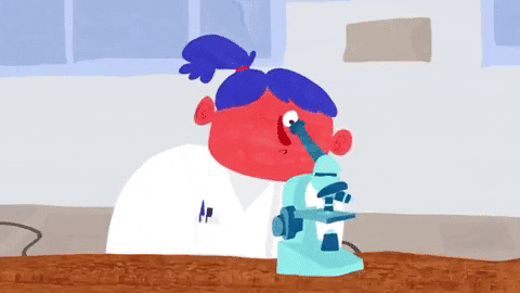 Picture 7 of How does the body react to foreign objects?