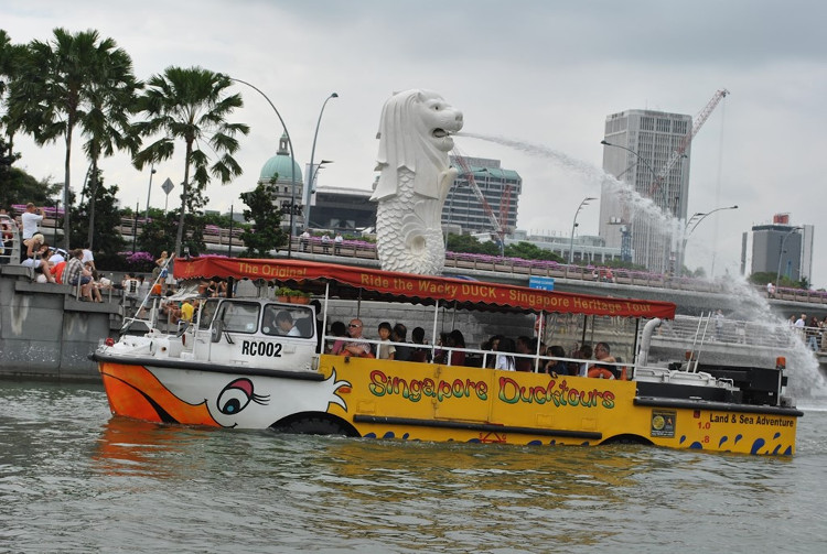 Picture 10 of How does the bus in the river work?