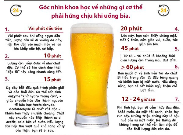 Picture 3 of How does your body change after drinking beer?