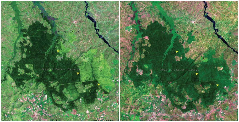 how-has-the-earth-changed-during-the-last-100-years