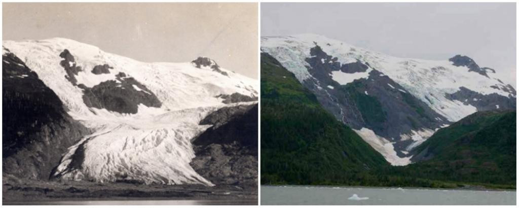 Picture 11 of How has the earth changed during the last 100 years?