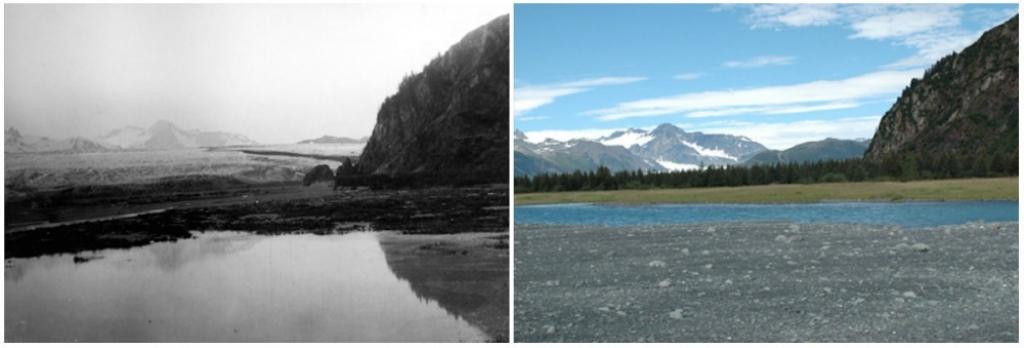 Picture 5 of How has the earth changed during the last 100 years?