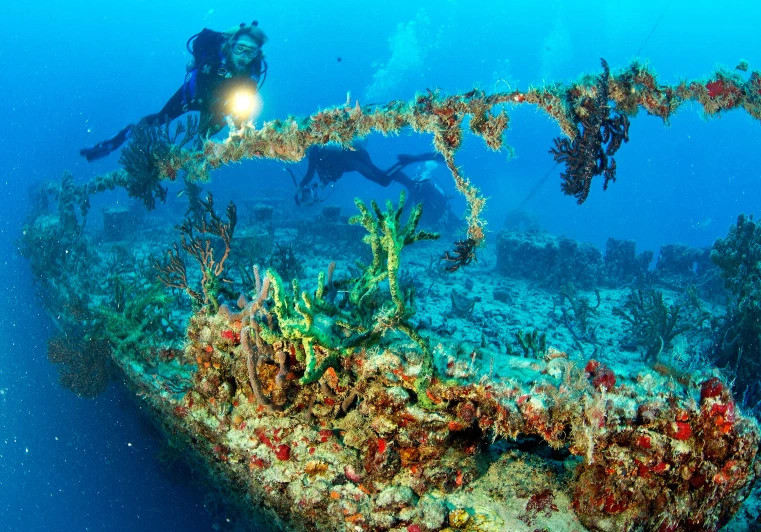 Picture 5 of How has the story of cultivating oysters in tires become a disaster?
