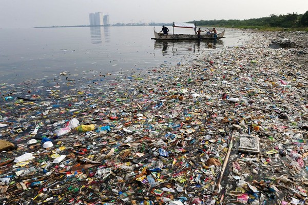Picture 5 of How have people devastated the ocean for decades?